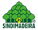 sindimadeira9